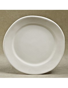 Irregular Dinner Plate