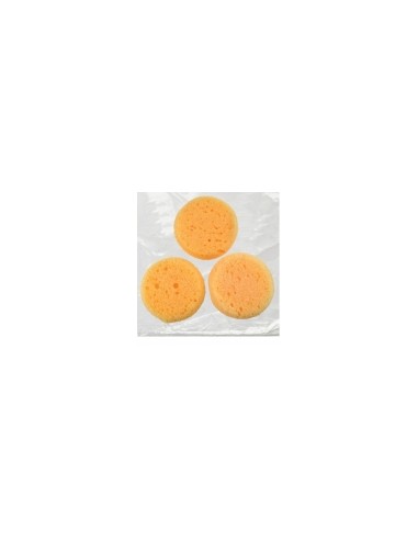 Sponge for Ceramis | ROYAL BRUSH
