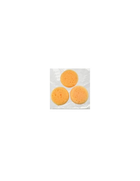Sponge for Ceramis | ROYAL BRUSH