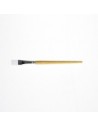 SQUARED BRUSHES